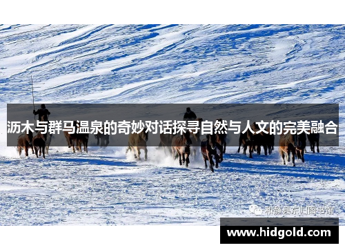 沥木与群马温泉的奇妙对话探寻自然与人文的完美融合
